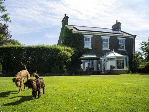 Dowfold House Bed And Breakfast Crook  Exteriér fotografie